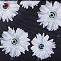Eyeball Blossom