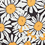 Daisy Dreamscape